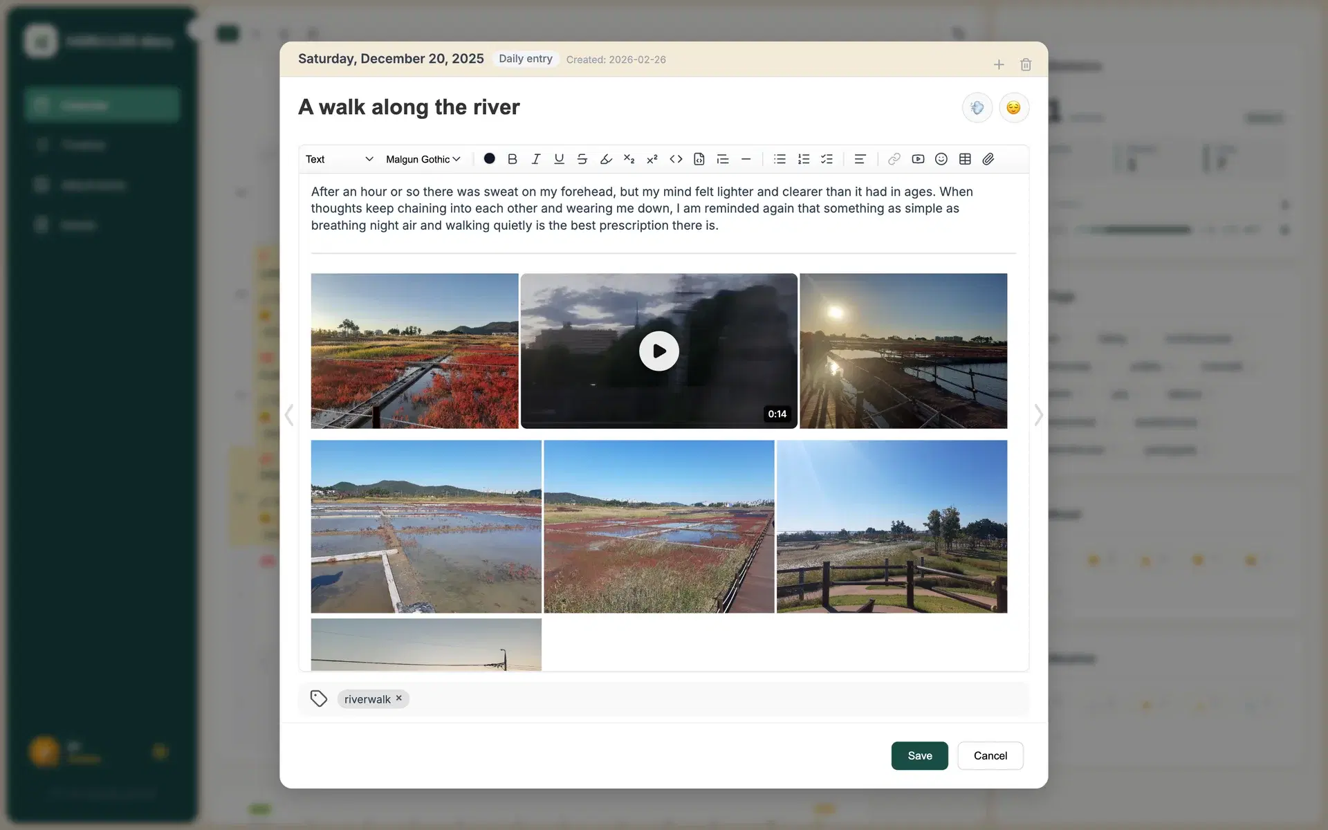 Screenshot · Editor modal open with mood, weather, and tags